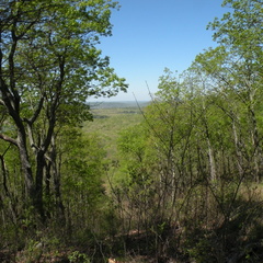 Lakeview Trail